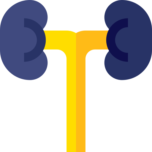 Urologie - Nephrologie icon