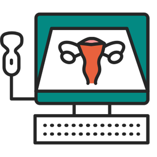 Gyneco-Obstétricale icon