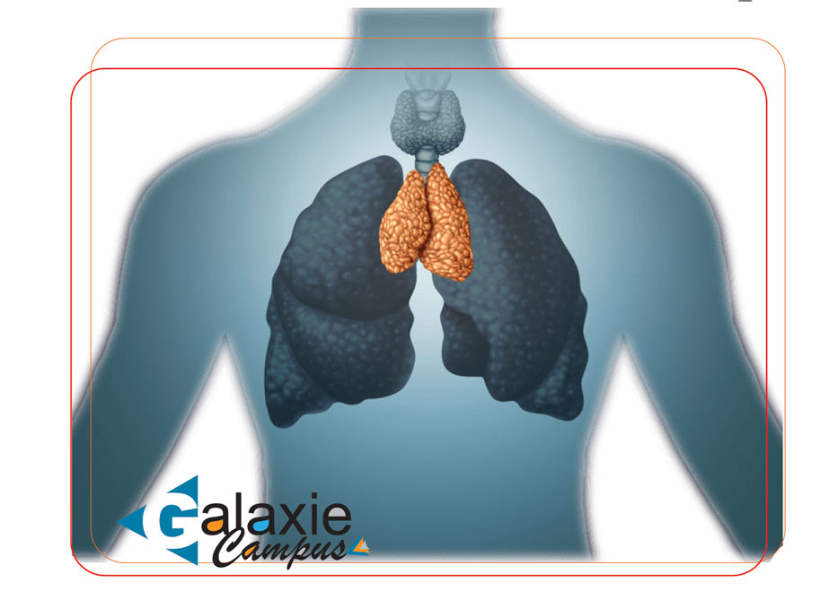 Thymectomie pour Myasthénie en Chirurgie ThoraciqueI