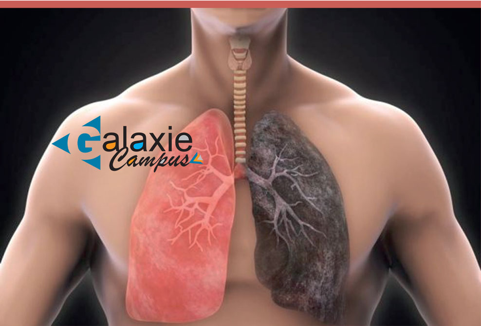 Epidémiologie et Etiopathogénie de la BPCO