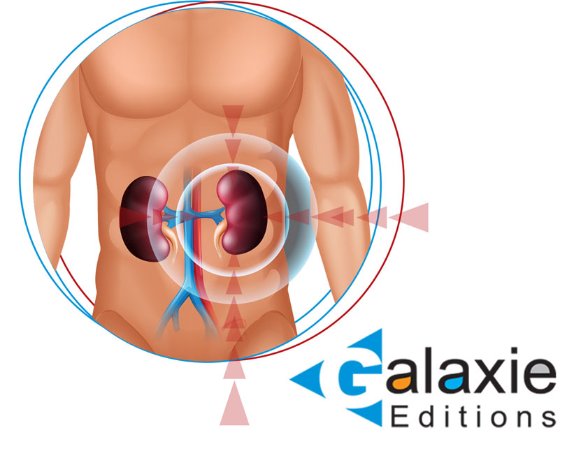 L'Essentiel en NÉPHROLOGIE Pour l'étudiant en Médecine
