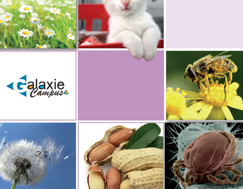 Les Allergènes Coupables