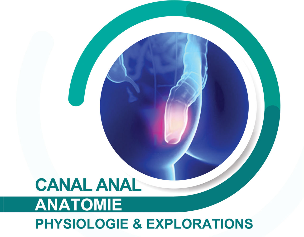 Canal Anal, Anatomie, Physiologie et Explorations