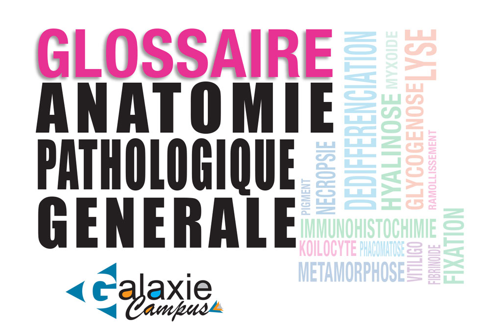 Glossaire ANATOMIE PATHOLOGIQUE GÉNÉRALE