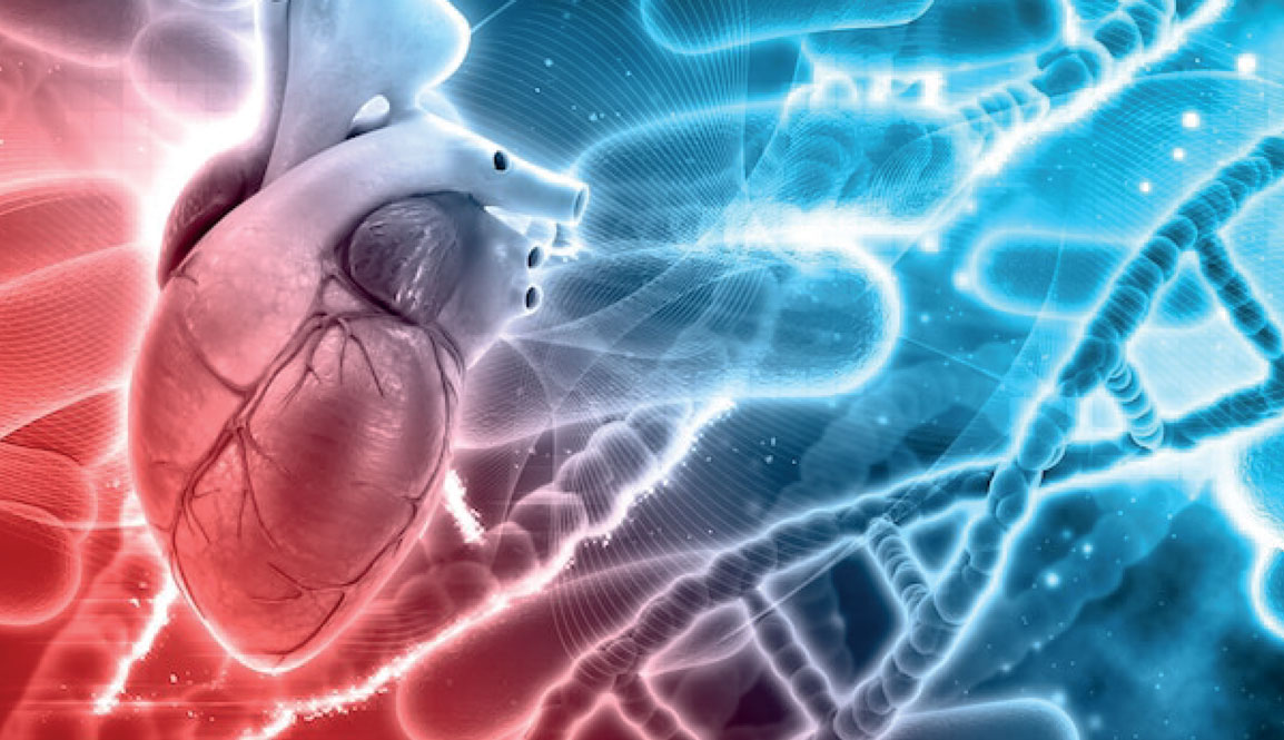 traité de pathologies CADIOVASCULAIRES