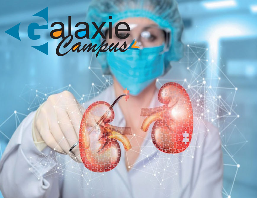 Echanges Plasmatiques en PRATIQUE