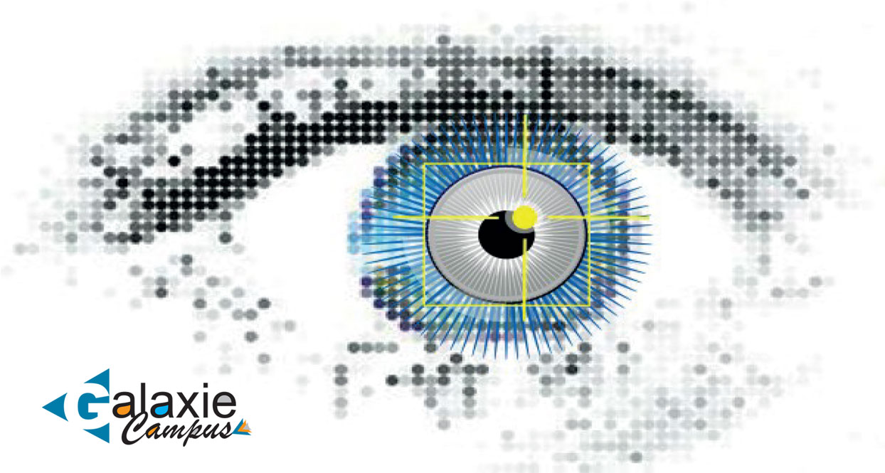 RÉÉDUCATION Bass Vision dans le Handicap Visuel