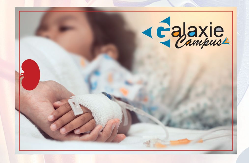 les particularités néphrologiques de LA TRANSPLANTATION RÉNALE PÉDIATRIQUE